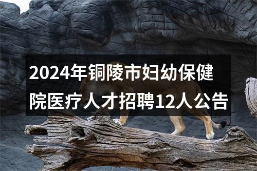 2024年铜陵市妇幼保健院医疗人才招聘12人公告 图片