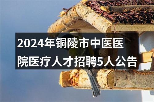 2024年铜陵市中医医院医疗人才招聘5人公告 图片