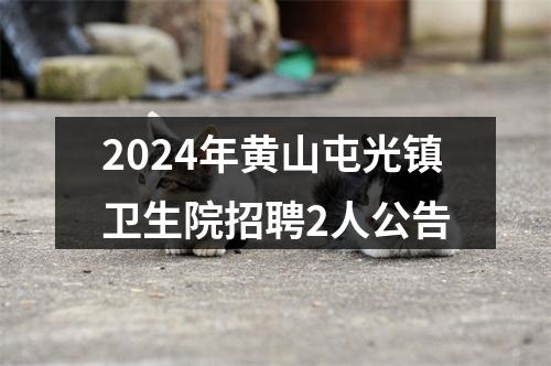 2024年黄山屯光镇卫生院招聘2人公告 图片