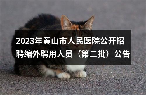 2023年黄山市人民医院公开招聘编外聘用人员（第二批）公告 图片