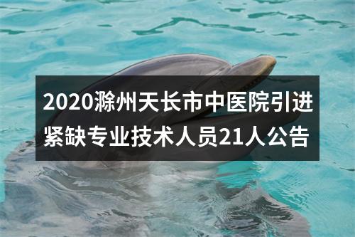 2020滁州天长市中医院引进紧缺专业技术人员21人公告 图片
