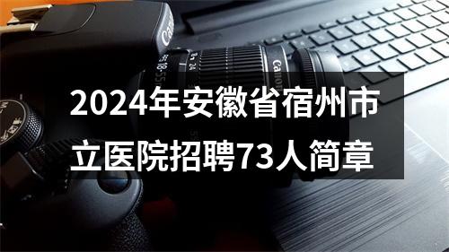 2024年安徽省宿州市立医院招聘73人简章 图片