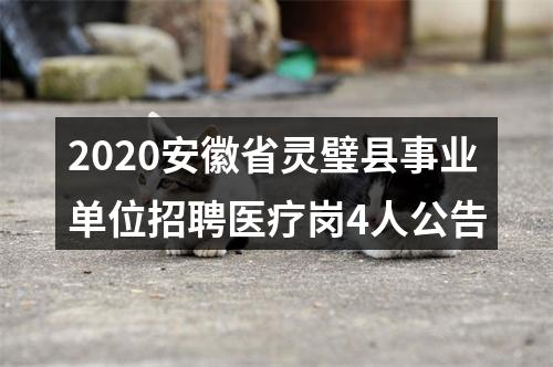 2020安徽省灵璧县事业单位招聘医疗岗4人公告 图片