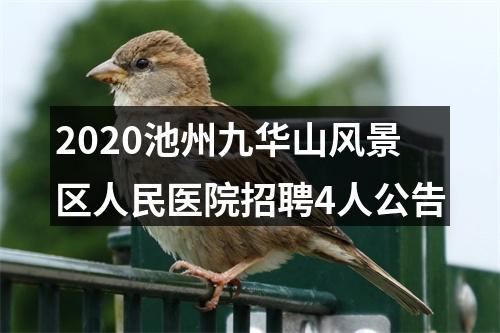 2020池州九华山风景区人民医院招聘4人公告 图片