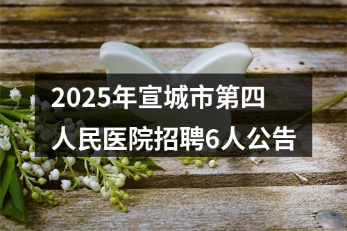 2025年宣城市第四人民医院招聘6人公告 图片