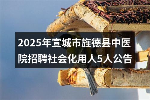 2025年宣城市旌德县中医院招聘社会化用人5人公告 图片