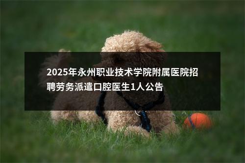 2025年永州职业技术学院附属医院招聘劳务派遣口腔医生1人公告 图片