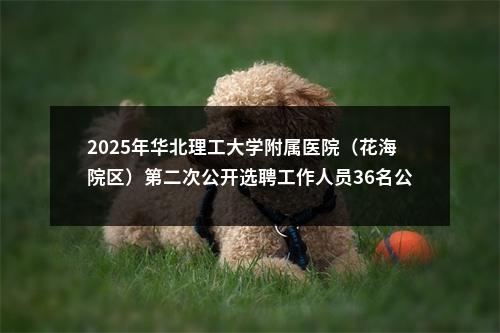 2025年华北理工大学附属医院（花海院区）第二次公开选聘工作人员36名公告 图片