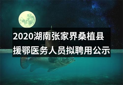 2020湖南张家界桑植县援鄂医务人员拟聘用公示 图片