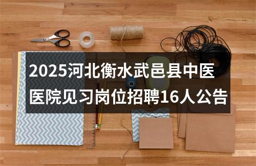 2025河北衡水武邑县中医医院见习岗位招聘16人公告 图片