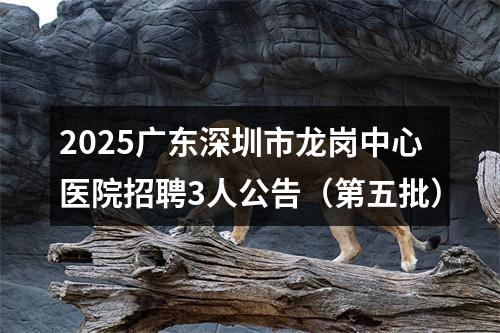 2025广东深圳市龙岗中心医院招聘3人公告（第五批） 图片