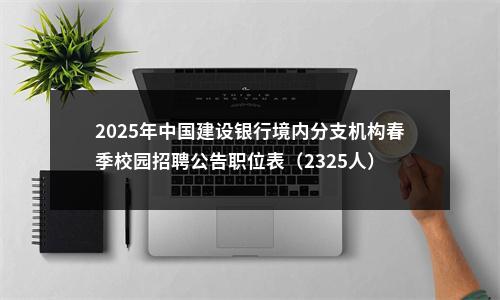 2025年中国建设银行境内分支机构春季校园招聘公告职位表（2325人） 图片