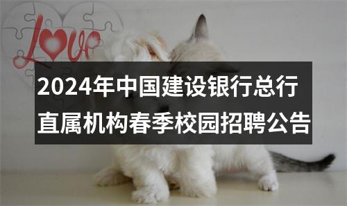 2024年中国建设银行总行直属机构春季校园招聘公告 图片