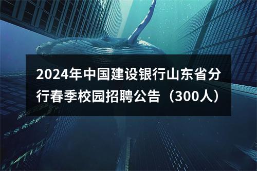 2024年中国建设银行山东省分行春季校园招聘公告（300人） 图片