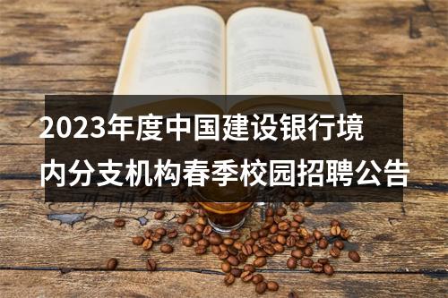 2023年度中国建设银行境内分支机构春季校园招聘公告 图片