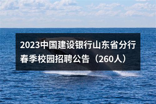 2023中国建设银行山东省分行春季校园招聘公告（260人） 图片