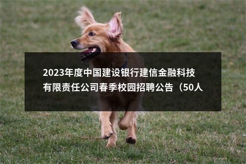 2023年度中国建设银行建信金融科技有限责任公司春季校园招聘公告（50人） 图片