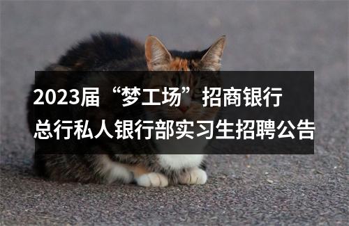 2023届“梦工场”招商银行总行私人银行部实习生招聘公告 图片
