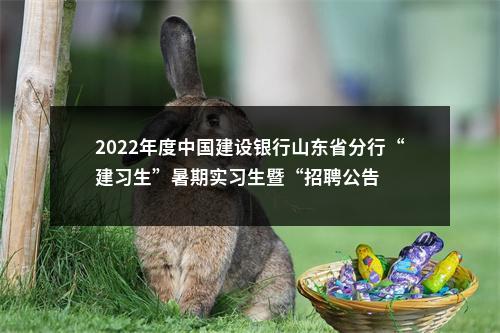 2022年度中国建设银行山东省分行“建习生”暑期实习生暨“招聘公告 图片