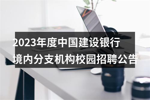 2023年度中国建设银行境内分支机构校园招聘公告 图片