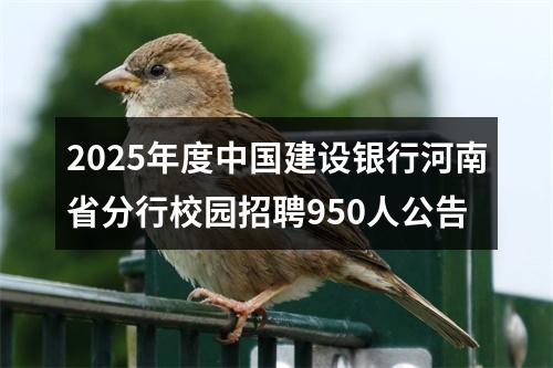2025年度中国建设银行河南省分行校园招聘950人公告 图片