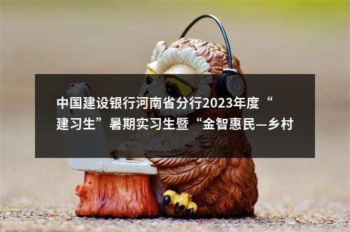 中国建设银行河南省分行2023年度“建习生”暑期实习生暨“金智惠民—乡村振兴”万名学子暑期下乡实践队员招聘公告 图片