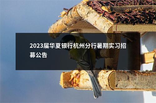 2023届华夏银行杭州分行暑期实习招募公告                进入阅读模式 图片