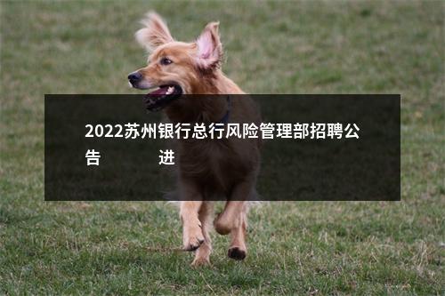 2022苏州银行总行风险管理部招聘公告                进入阅读模式 图片