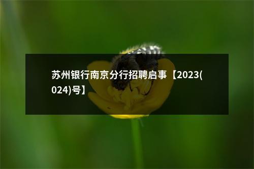 苏州银行南京分行招聘启事【2023(024)号】                进入阅读模式 图片