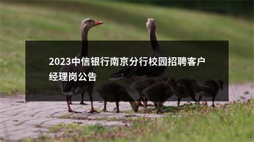 2023中信银行南京分行校园招聘客户经理岗公告                进入阅读模式 图片