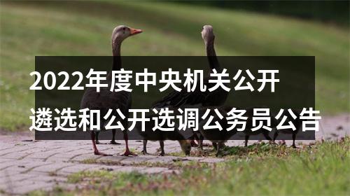 2022年度中央机关公开遴选和公开选调公务员公告 图片