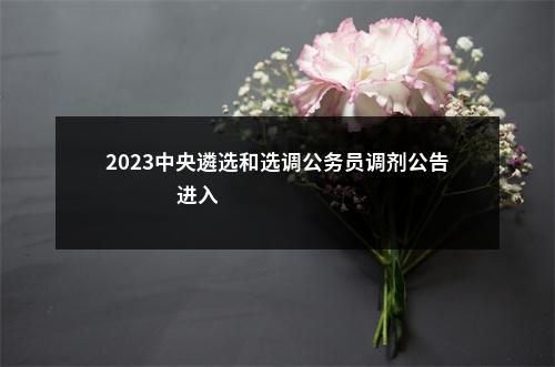 2023中央遴选和选调公务员调剂公告                进入阅读模式 图片