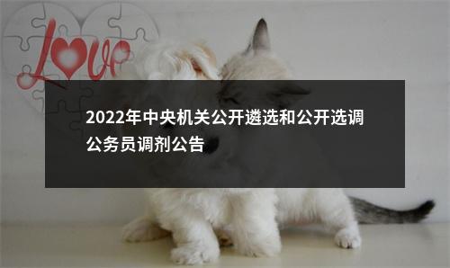 2022年中央机关公开遴选和公开选调公务员调剂公告                进入阅读模式 图片