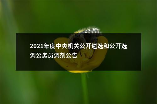 2021年度中央机关公开遴选和公开选调公务员调剂公告                进入阅读模式 图片