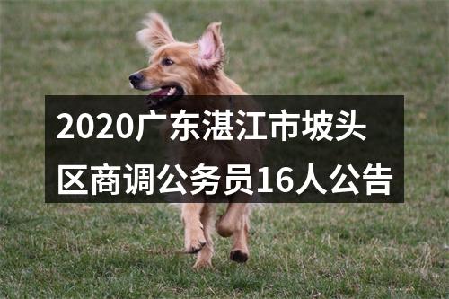 2020广东湛江市坡头区商调公务员16人公告 图片