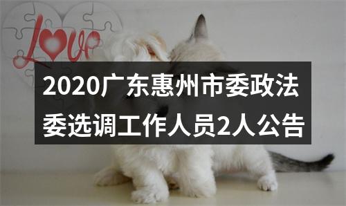 2020广东惠州市委政法委选调工作人员2人公告 图片