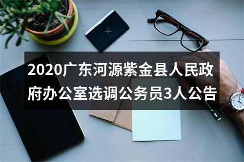 2020广东河源紫金县人民政府办公室选调公务员3人公告 图片