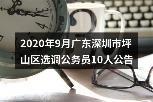2020年9月广东深圳市坪山区选调公务员10人公告 图片