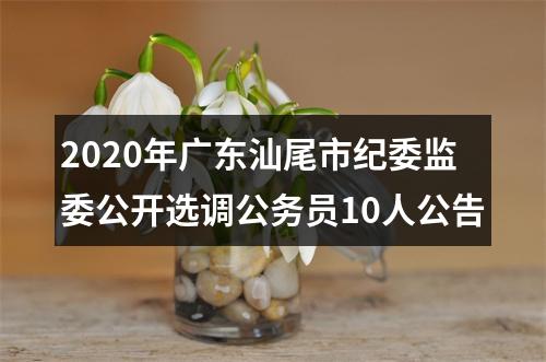 2020年广东汕尾市纪委监委公开选调公务员10人公告 图片