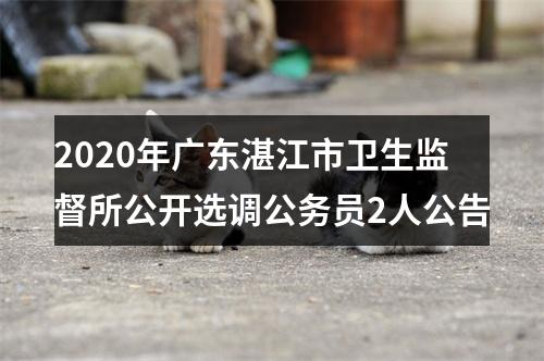 2020年广东湛江市卫生监督所公开选调公务员2人公告 图片