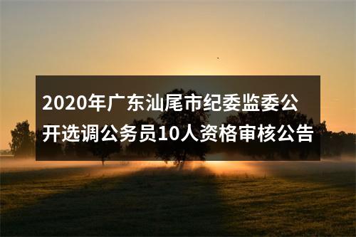 2020年广东汕尾市纪委监委公开选调公务员10人资格审核公告 图片