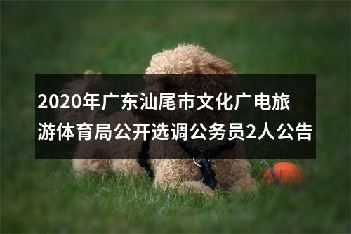 2020年广东汕尾市文化广电旅游体育局公开选调公务员2人公告 图片