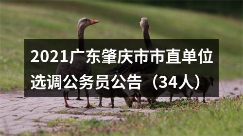 2021广东肇庆市市直单位选调公务员公告（34人） 图片