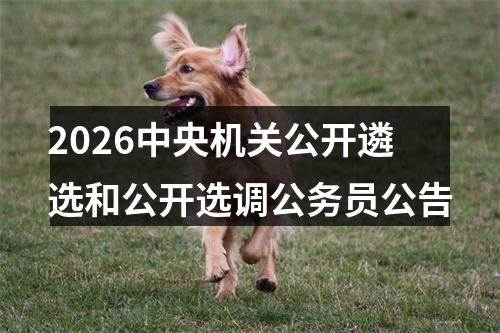 2026中央机关公开遴选和公开选调公务员公告 图片