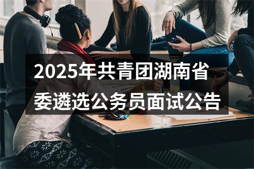2025年共青团湖南省委遴选公务员面试公告 图片