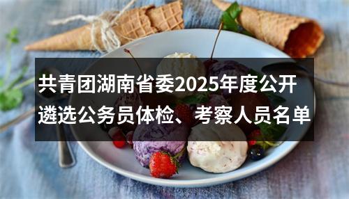 共青团湖南省委2025年度公开遴选公务员体检、考察人员名单 图片