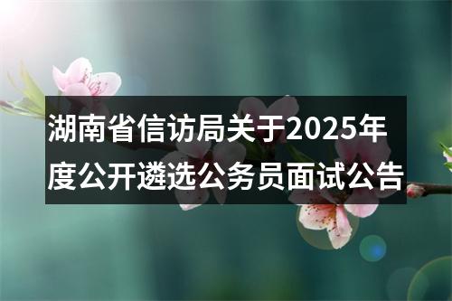 湖南省信访局关于2025年度公开遴选公务员面试公告 图片