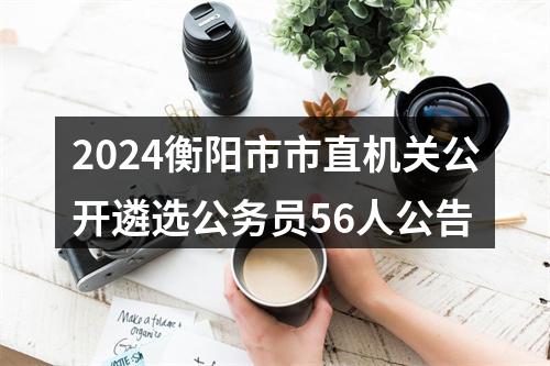 2024衡阳市市直机关公开遴选公务员56人公告 图片