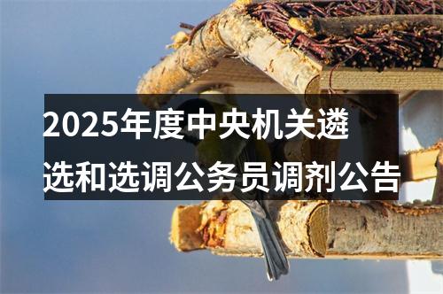 2025年度中央机关遴选和选调公务员调剂公告 图片
