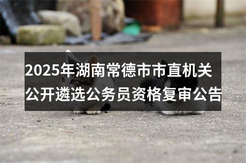 2025年湖南常德市市直机关公开遴选公务员资格复审公告 图片